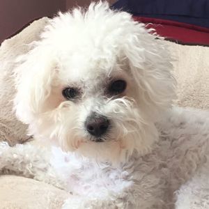 Meet your Posher, Joori